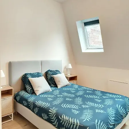 Διαμέρισμα Grand Appart Duplex 6 Pers Gare Wifi Σεν-Κεντέν