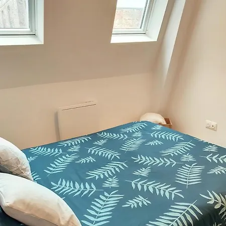 Διαμέρισμα Grand Appart Duplex 6 Pers Gare Wifi